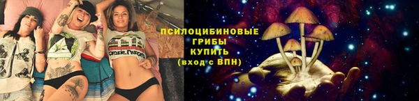 молекула духа Алзамай